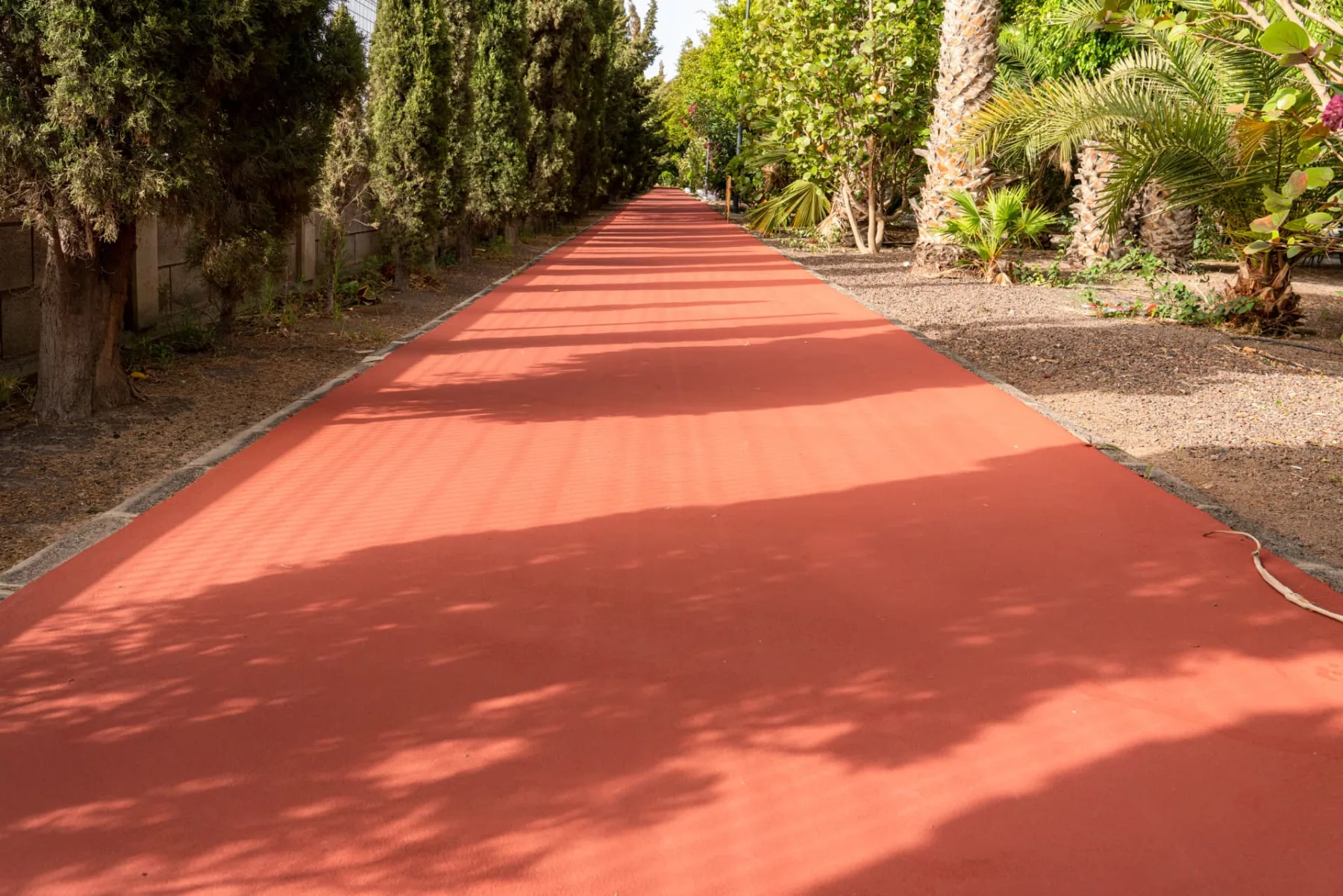 Carril de paseo entre cipreses con acabado continuo Zoruflex Tráfico