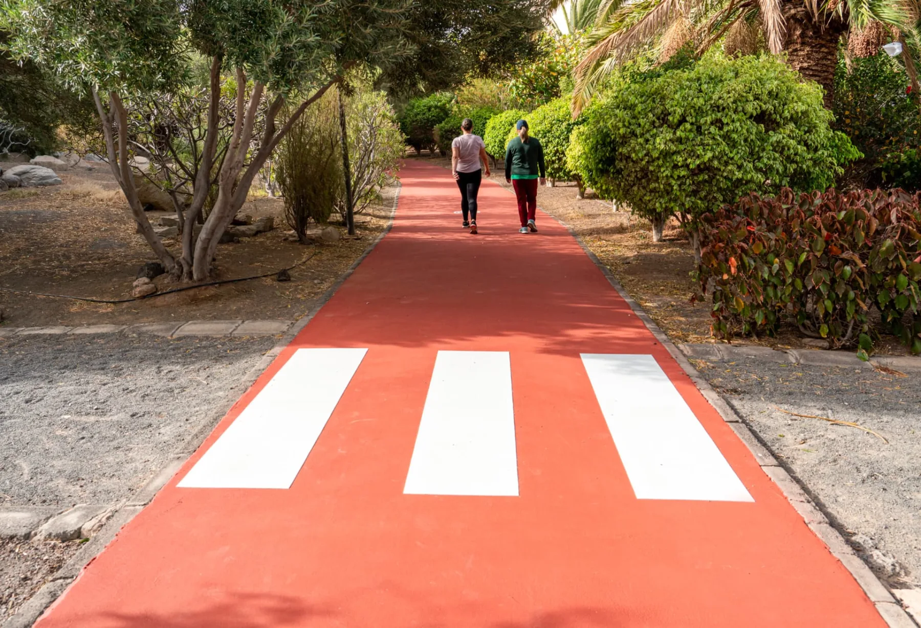 Carril bici de color rojo con paso de peatones en blanco entre vegetación