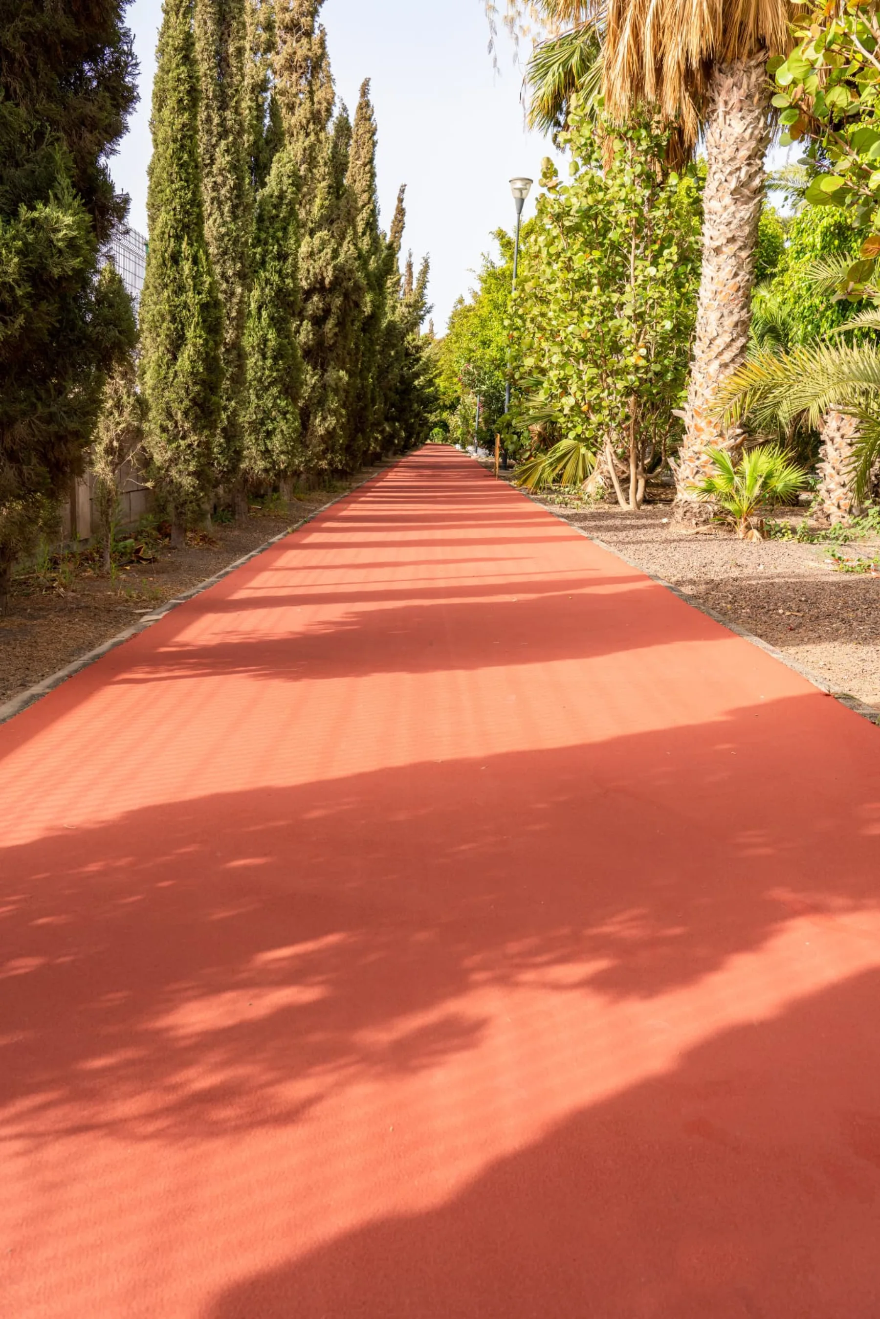 Recorrido peatonal y ciclista con pavimento Zoruflex Tráfico junto a palmeras