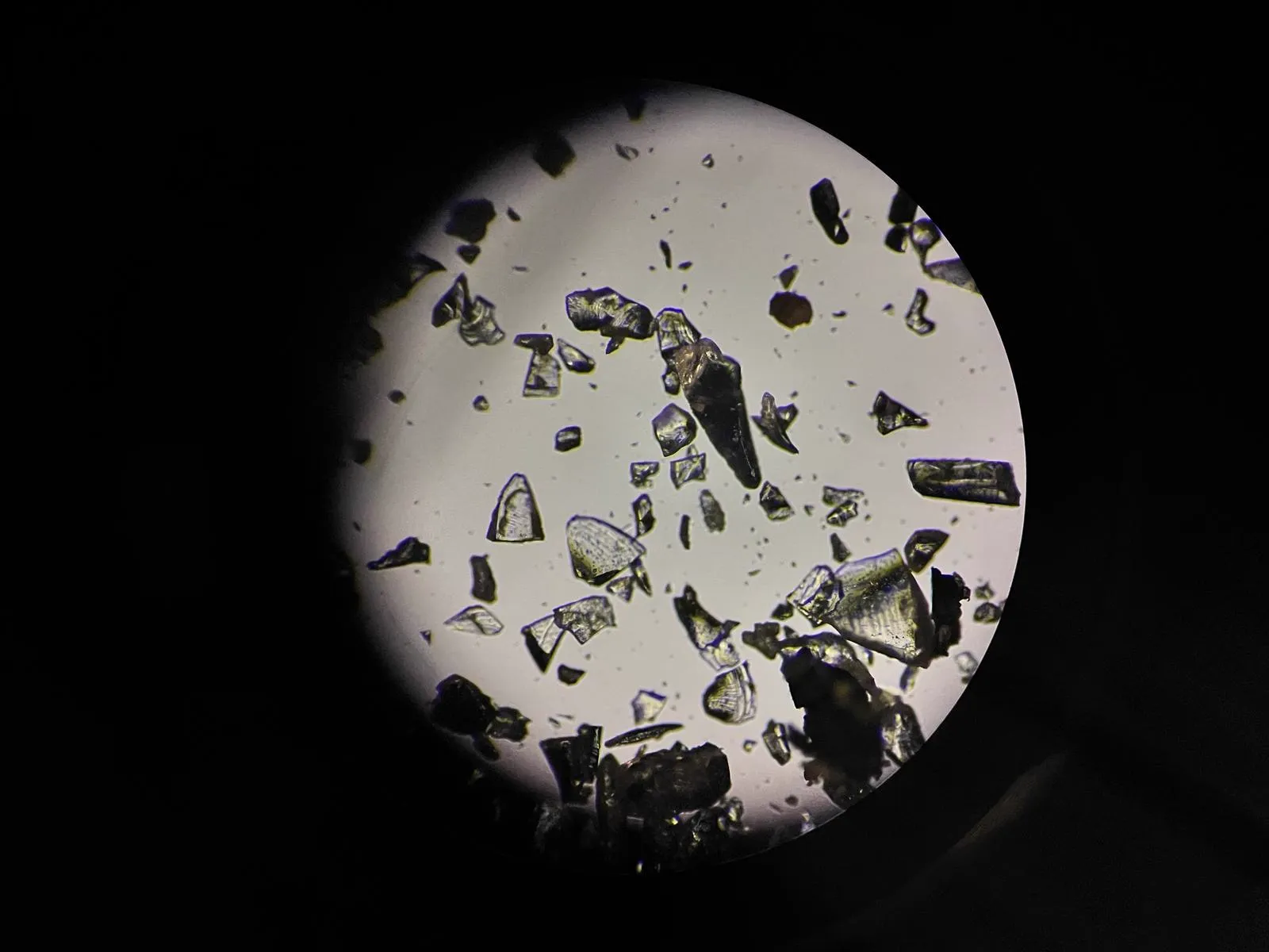 Partículas de vidrio reciclado observadas al microscopio para analizar forma y aristas
