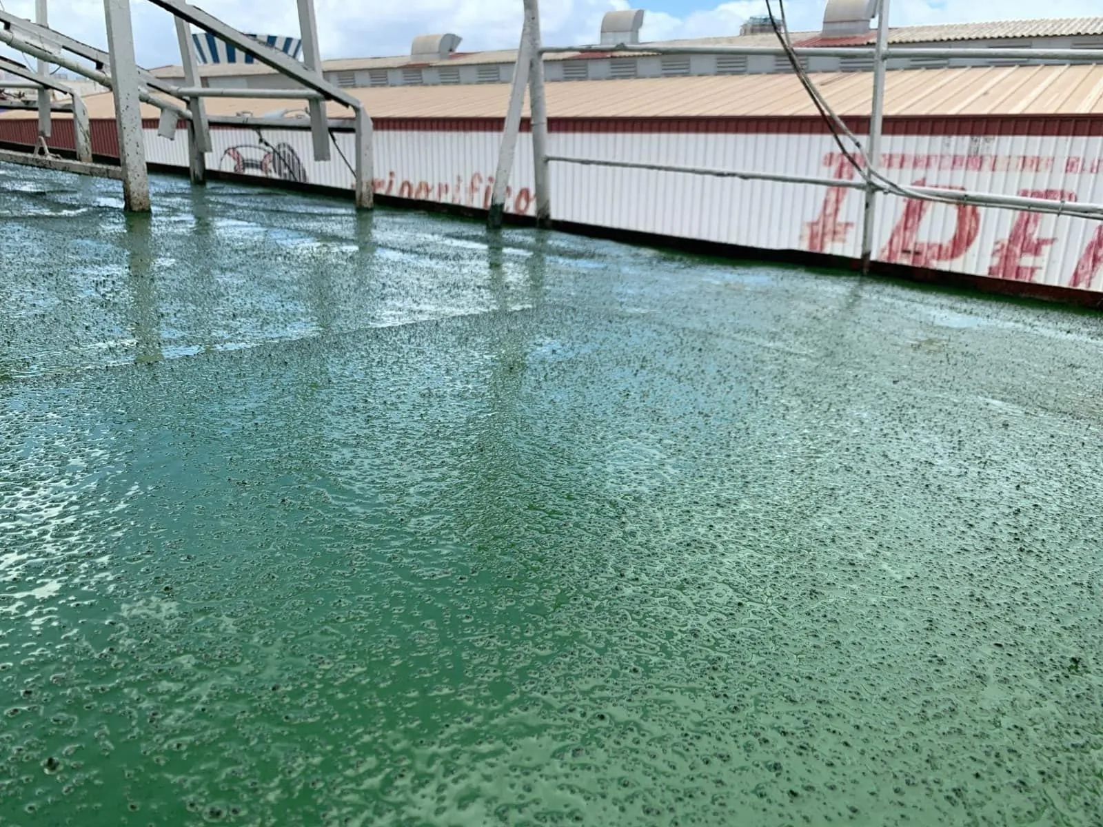Zoruflex Naval — Cubiertas de buques y ferrys