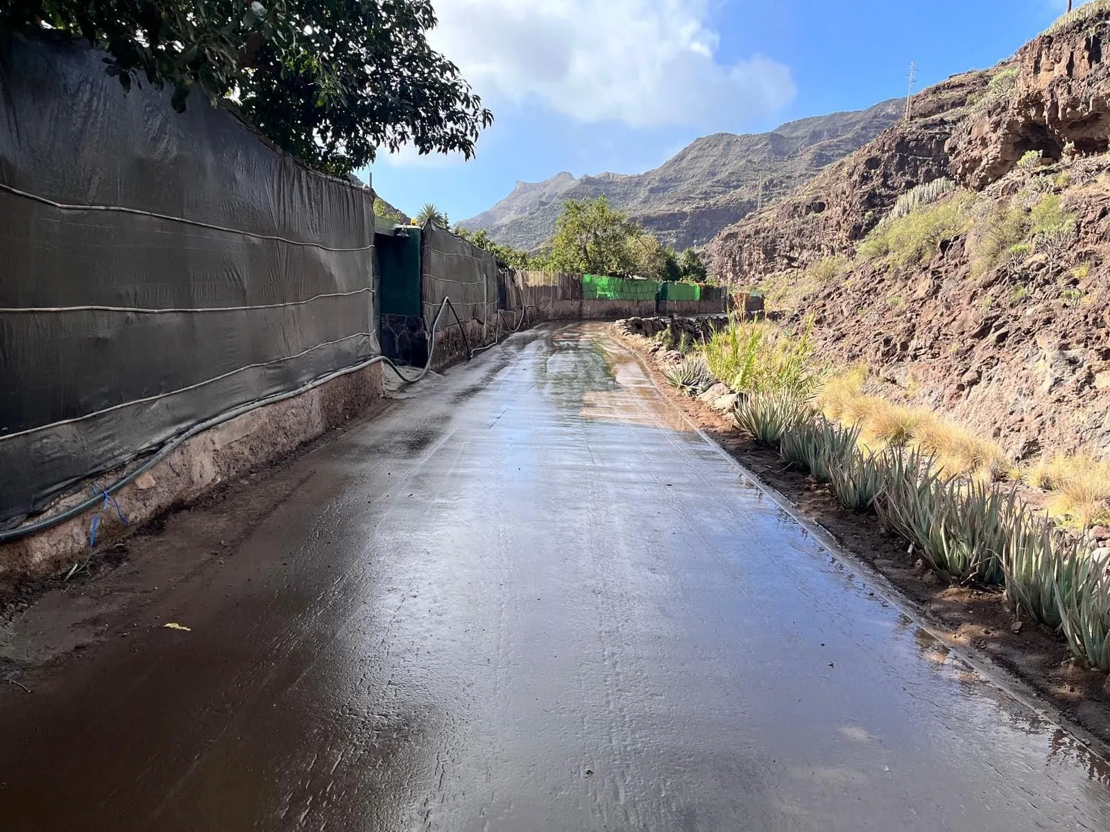 Camino rural estabilizado con Byo Eco en Venegera, integrado con piteras y entorno de barranco